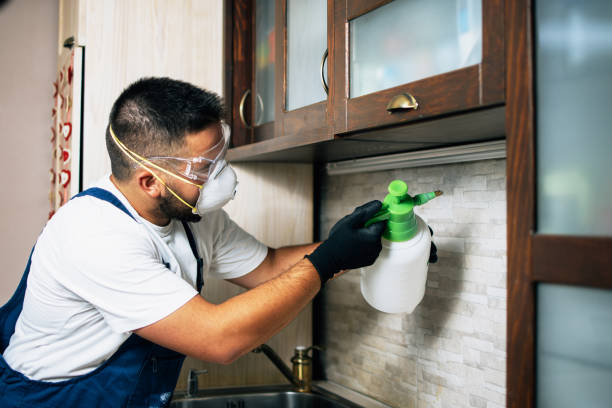 Professional Pest Control in Sutherland, NE