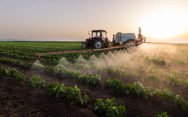 Best Pest Inspection Near Me  in Sutherland, NE