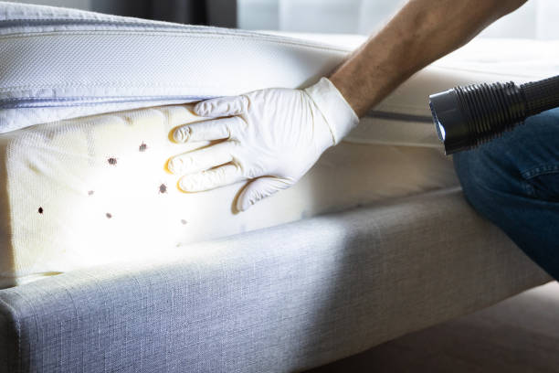 Best Affordable Pest Control Services  in Sutherland, NE