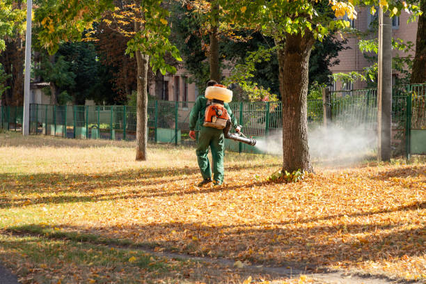 Best Mosquito Control Services  in Sutherland, NE