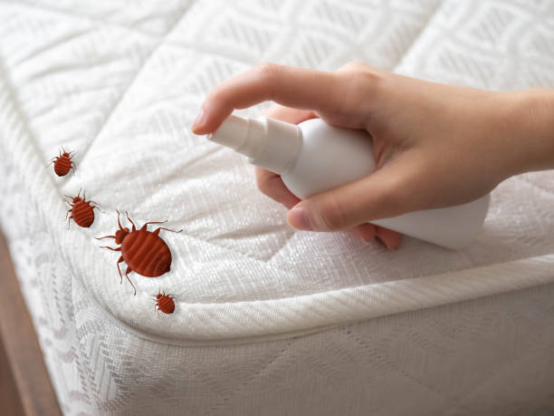 Best Cockroach Control Services  in Sutherland, NE