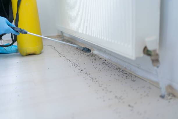 Best Residential Pest Control  in Sutherland, NE